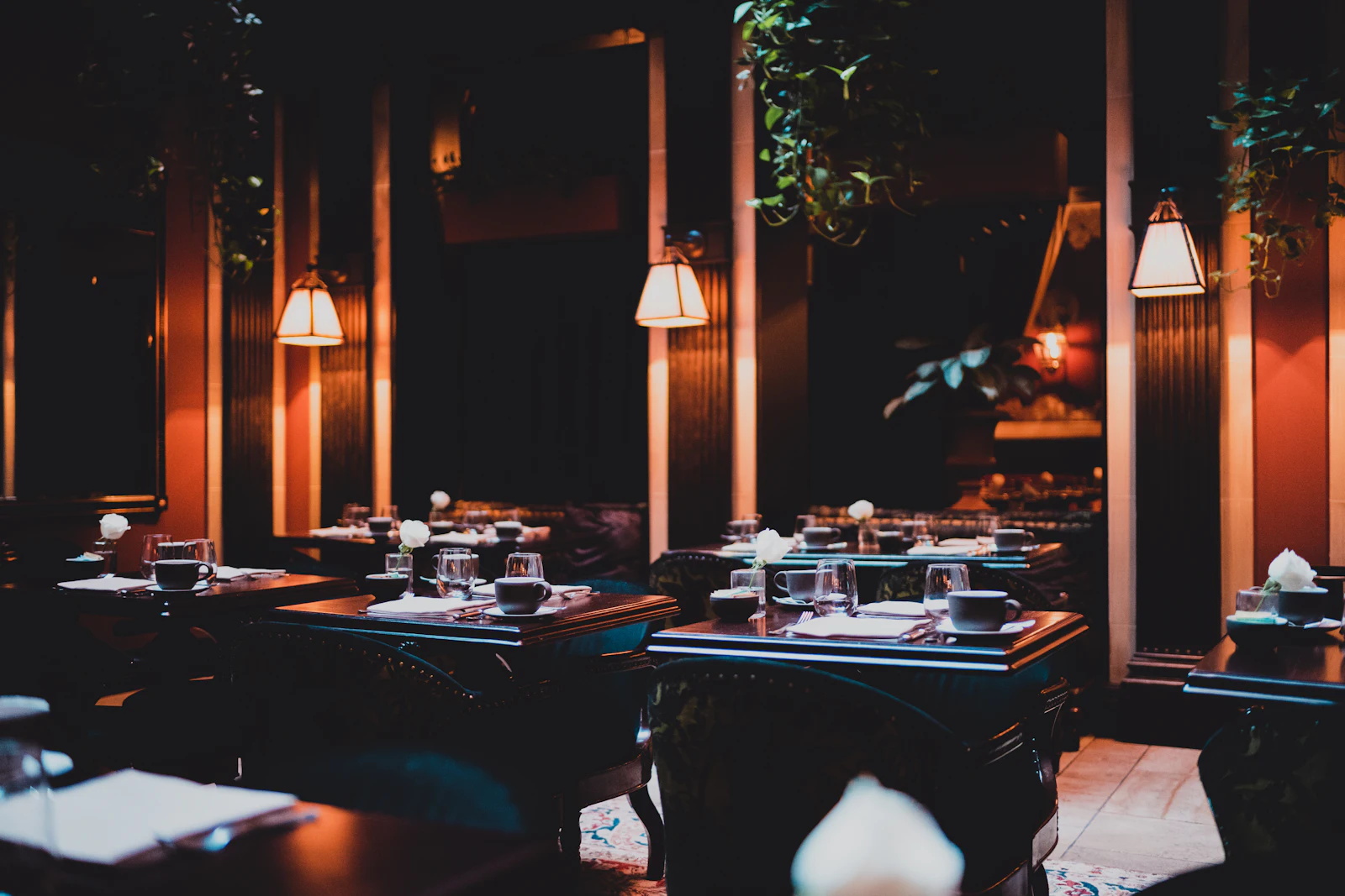 The dining room in the evening, with warm lights above the tables